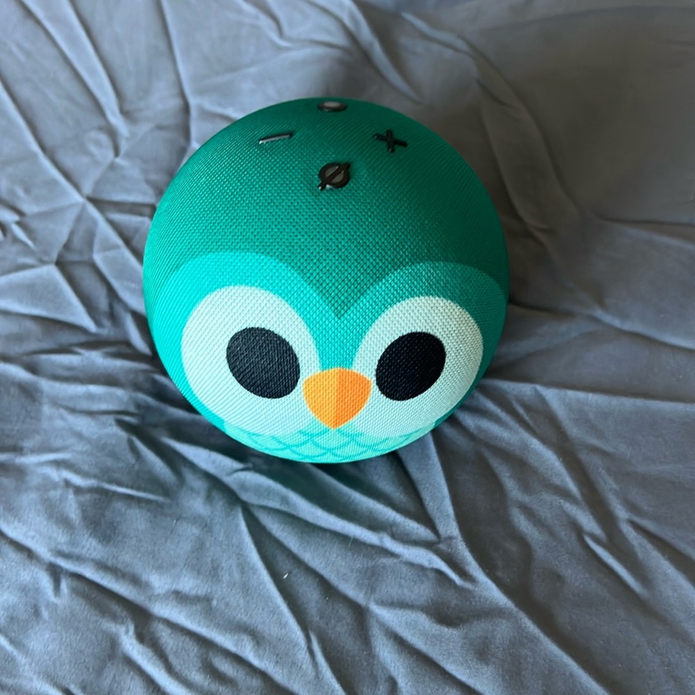 Echo Dot, never used.